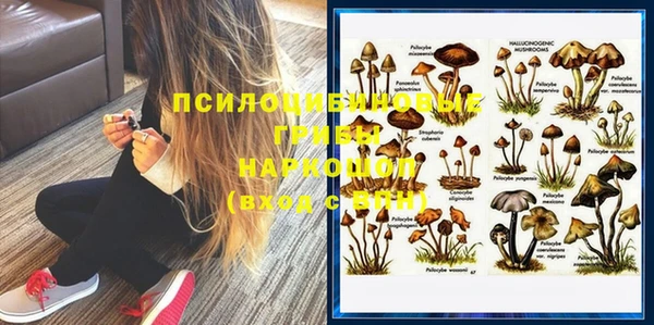 PSILOCYBIN Абаза
