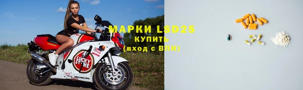 PSILOCYBIN Абаза
