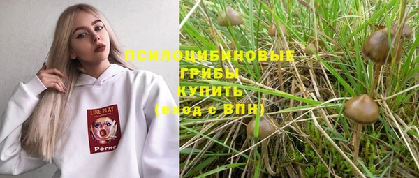 PSILOCYBIN Абдулино