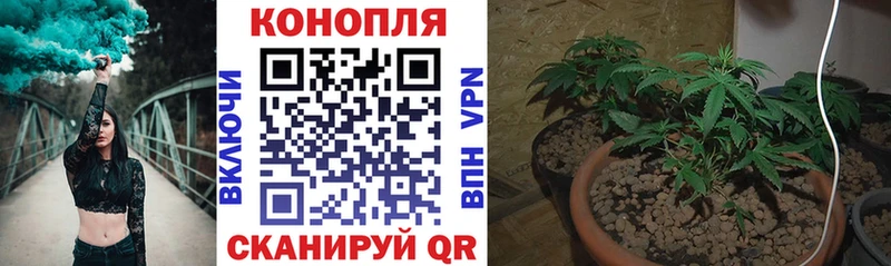 наркота  mega рабочий сайт  Конопля Amnesia  Туапсе 